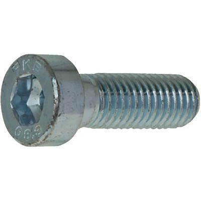 Hex socket head cap screws with low head and pilot recess, partially / fully threaded-760550