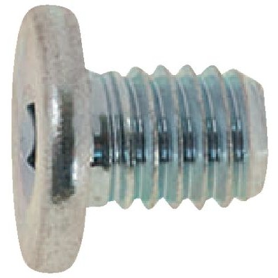 Hex socket head cap screws with special low head-760551