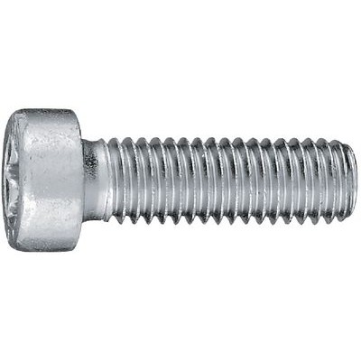 Hexalobular socket head screws with low head-760575