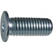 hexalobular-socket-head-screws-with-special-low-head-760577-760577