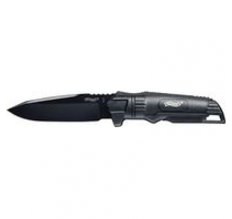 Dao WALTHER BACKUP